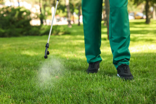Best Flea Control Services  in Fort Llins, CO
