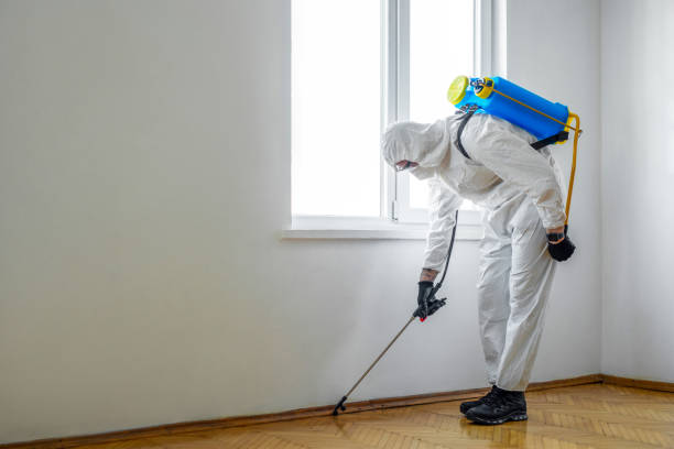 Best Commercial Pest Control Services  in Fort Llins, CO