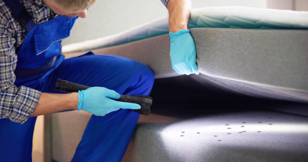 Best Commercial Pest Control Services  in Fort Llins, CO